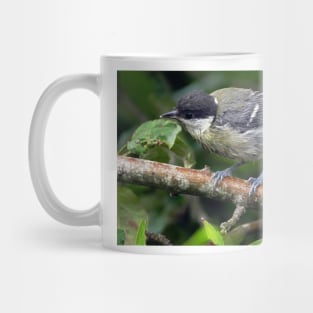 NEW  THE PANASONIC FZ 1000 PAR OKAIO CREATION Mug